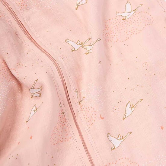 La Petite École de Danse Gigoteuse été Rose  de Moulin Roty