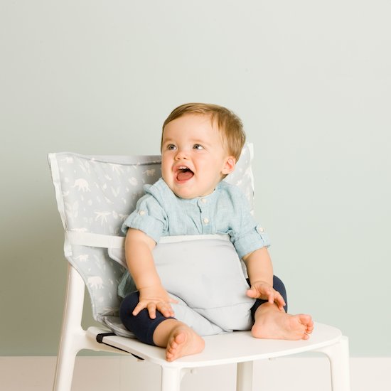Trouvez Des Sieges De Table Bebe Pour De Beaux Moments En Famille Aubert