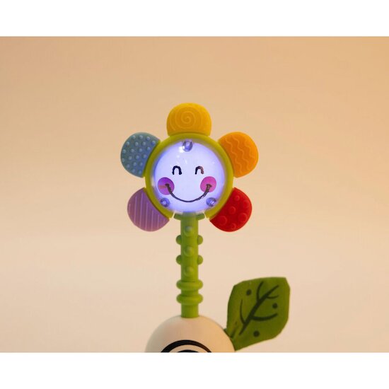 Hochet fleur musical   de Hape
