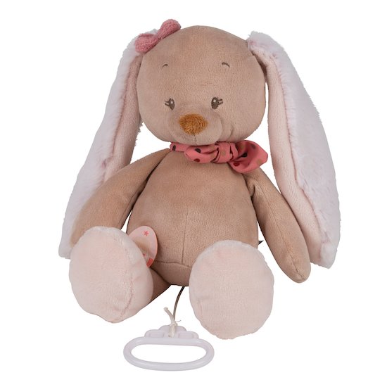 Peluches musicales : Aubert