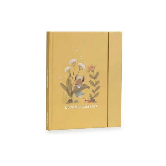 Trois petits lapins Livre de Naissance 80 pages  de Moulin Roty
