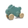 Lapin à pousser