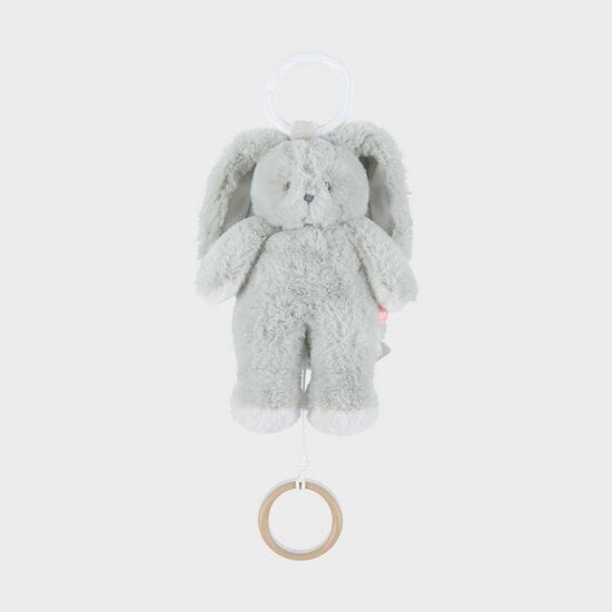 Peluche musicale Rosie & Verdi Verdi  de Noukies