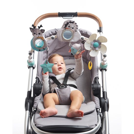 Arche D Eveil Pour Bebe Arches Pour Berceau Et Siege Auto Aubert