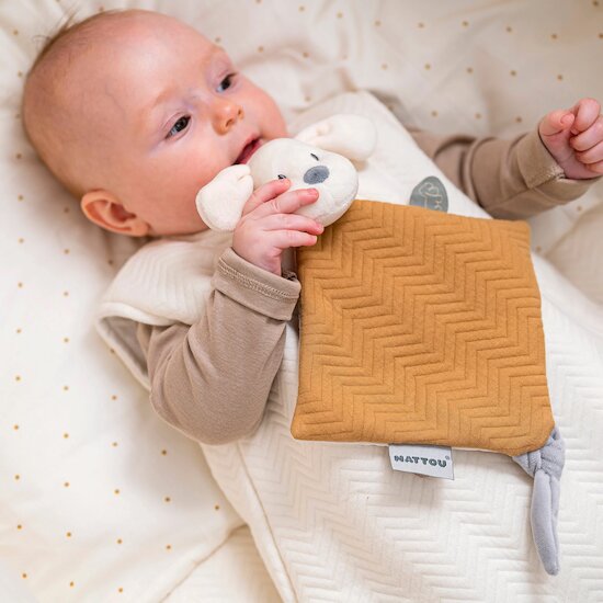 Charlie Doudou Caramel  de Nattou