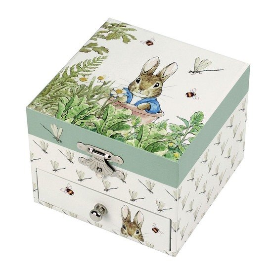 Coffret musique Pierre Lapin libellule   de Trousselier