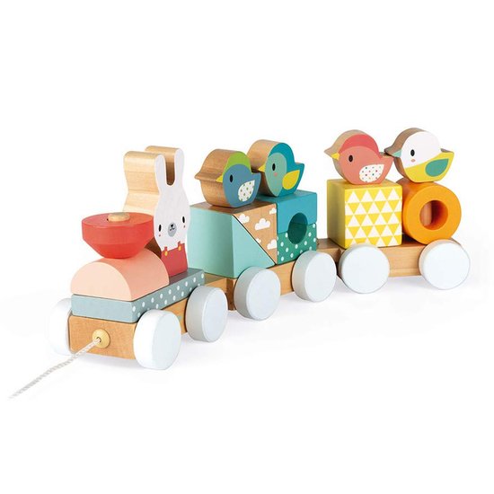Train Pure   de Janod Train Pure   de Janod