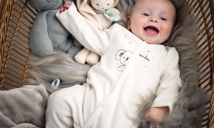 Petit Koala