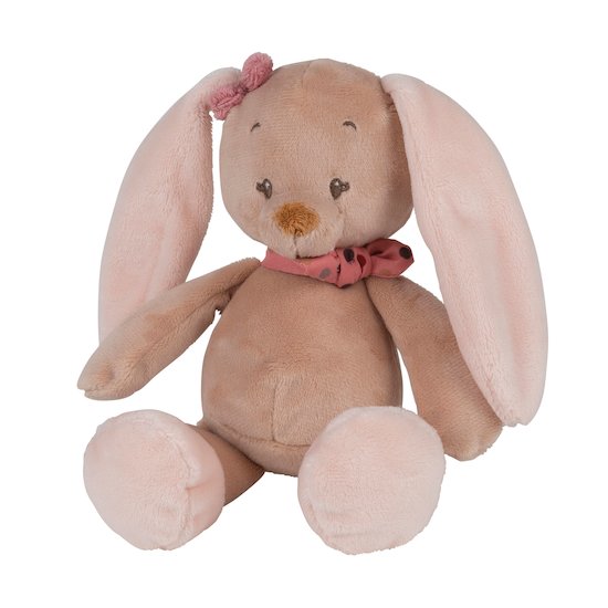 Sasha & Pauline mini peluche Pauline Lapin  de Nattou