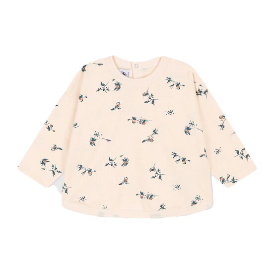 Tee-shirt manches longues en jersey imprimé Avalanche/Multico  de Petit Bateau