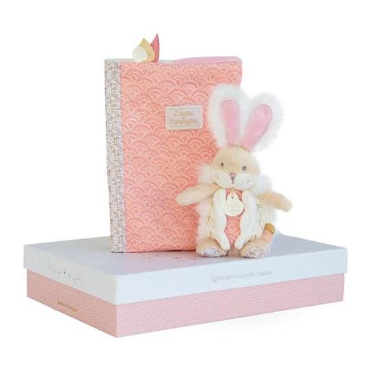 Lapin de sucre carnet de santé + doudou  Rose  de Doudou et Compagnie