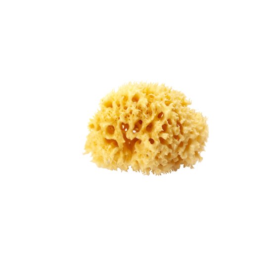 Éponge naturelle Honeycomb   de OK Baby
