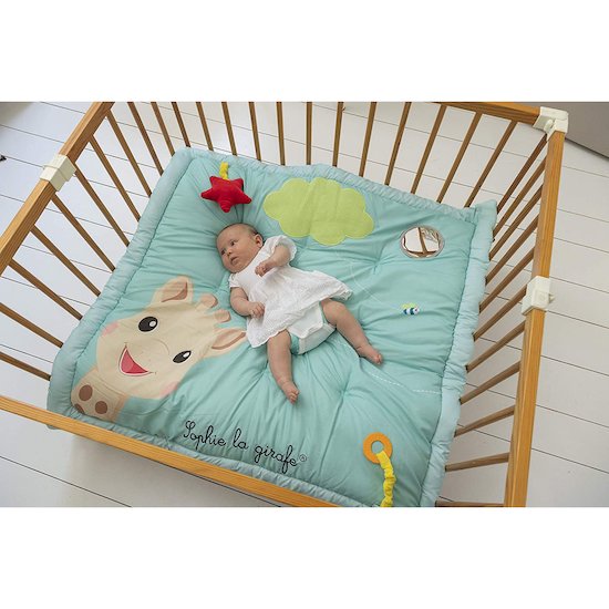 Tapis D Eveil Sophie La Girafe De Vulli Tapis D Eveil Aubert Tapis D Eveil Sophie La Girafe De Vulli Tapis D Eveil Aubert