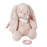 Alice & Pomme Peluche Musicale