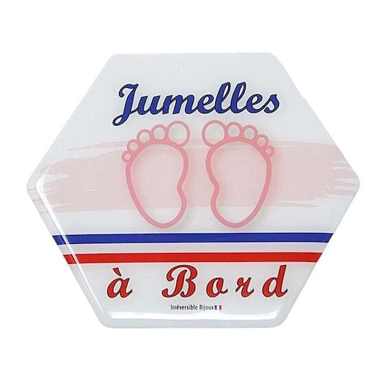 Signalétique Bébé à bord Jumelles Filles  de Irréversible