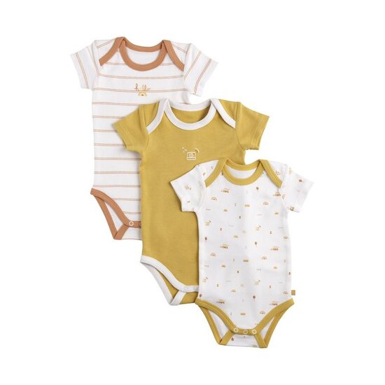 Sunlight Lot de 3 bodies manches courtes   de Sauthon Baby Déco