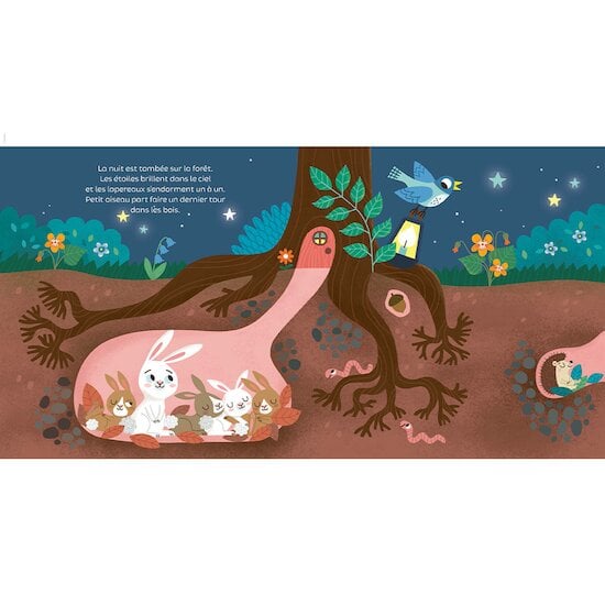 Mon livre son et lumière, Bonne nuit !   de Larousse