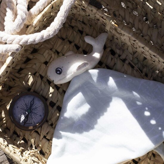 Au large de Nova Doudou naissance Baleine  de Trois Kilos Sept