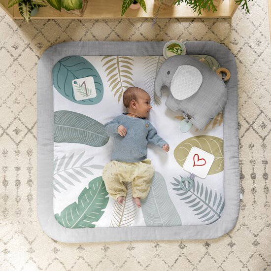 Tapis d'éveil avec cartes étapes Sprout Spot  de Ingenuity