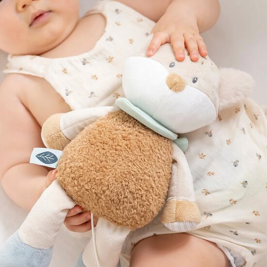 Flo, Ernest & Oli Peluche musicale Flo le renard  de Nattou