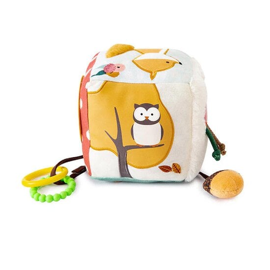 Cube d'éveil Forêt  de Little Big Friends