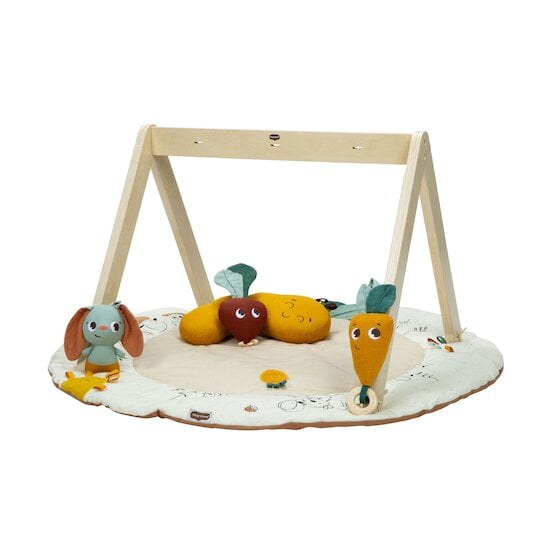 Tapis d'éveil Gymini Garden Of Adventures   de Tiny Love Tapis d'éveil Gymini Garden Of Adventures   de Tiny Love