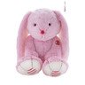 Rouge peluche